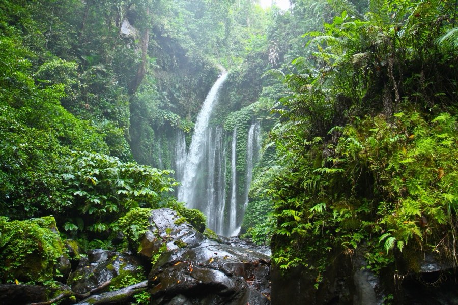 World, Summer 2010, Indonesia. Photograph by Jordy Meow, 28/64
