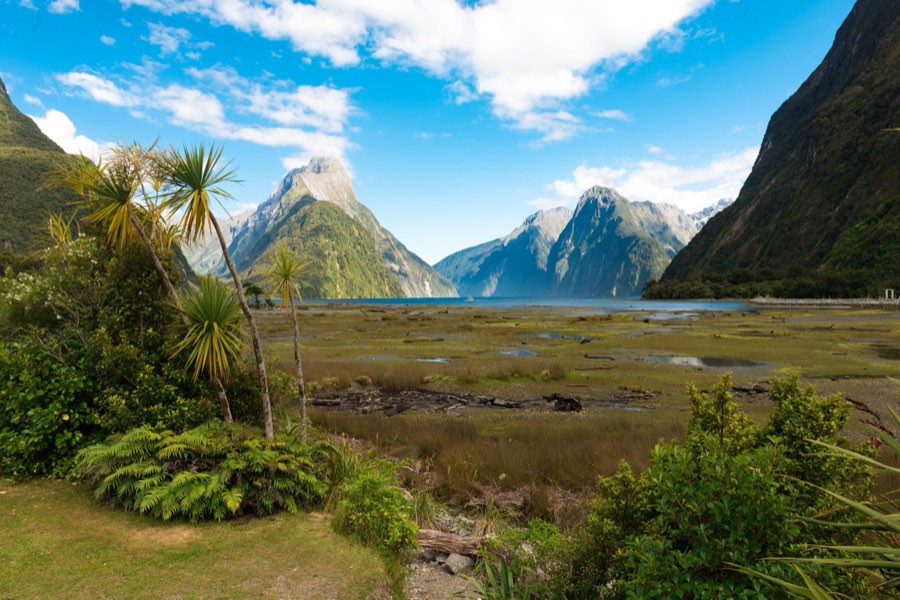 World, Winter 2015, New Zealand. Photograph by Jordy Meow, 36/64