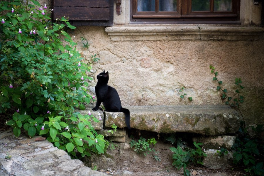 France, Summer 2016. Photograph by Jordy Meow, 34/36