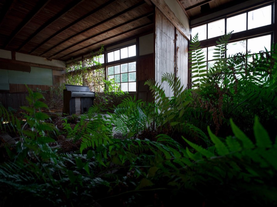 Haikyo, Autumn 2019, Japan. Photograph by Jordy Meow, 11/25