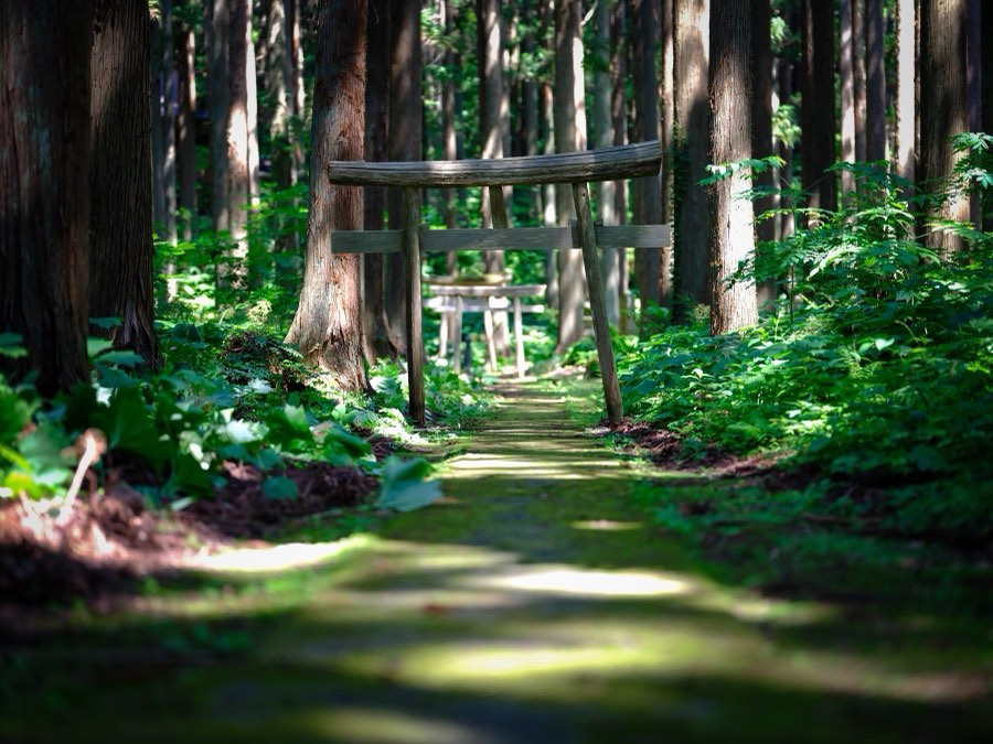 Japan, Summer 2021. Photograph by Jordy Meow, 7/25