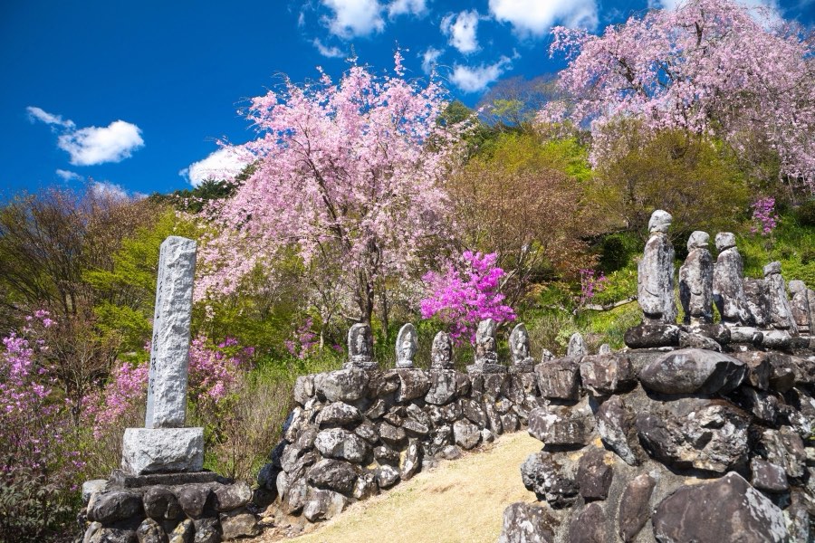 Japan, Spring 2017. Photograph by Jordy Meow, 16/25