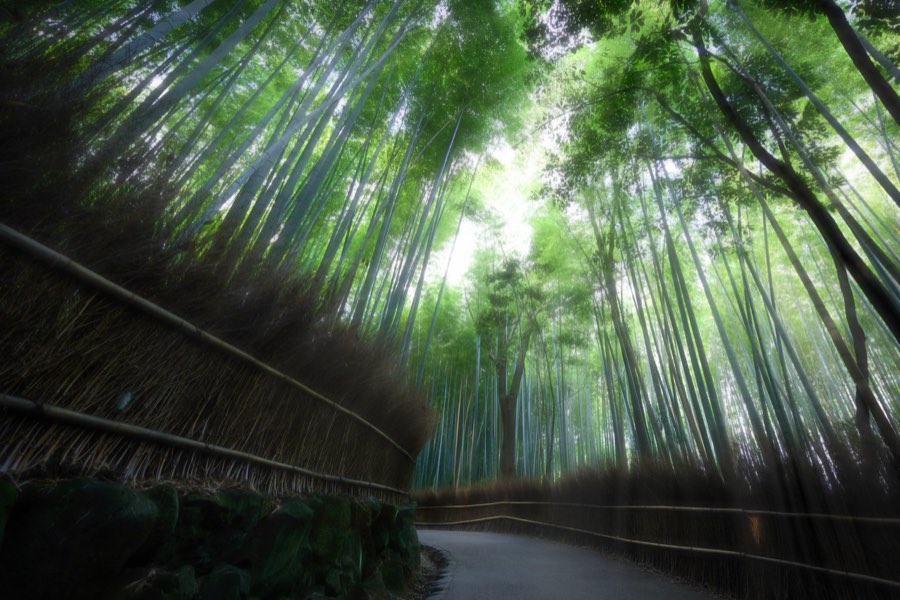 Japan, Autumn 2014. Photograph by Jordy Meow, 22/25