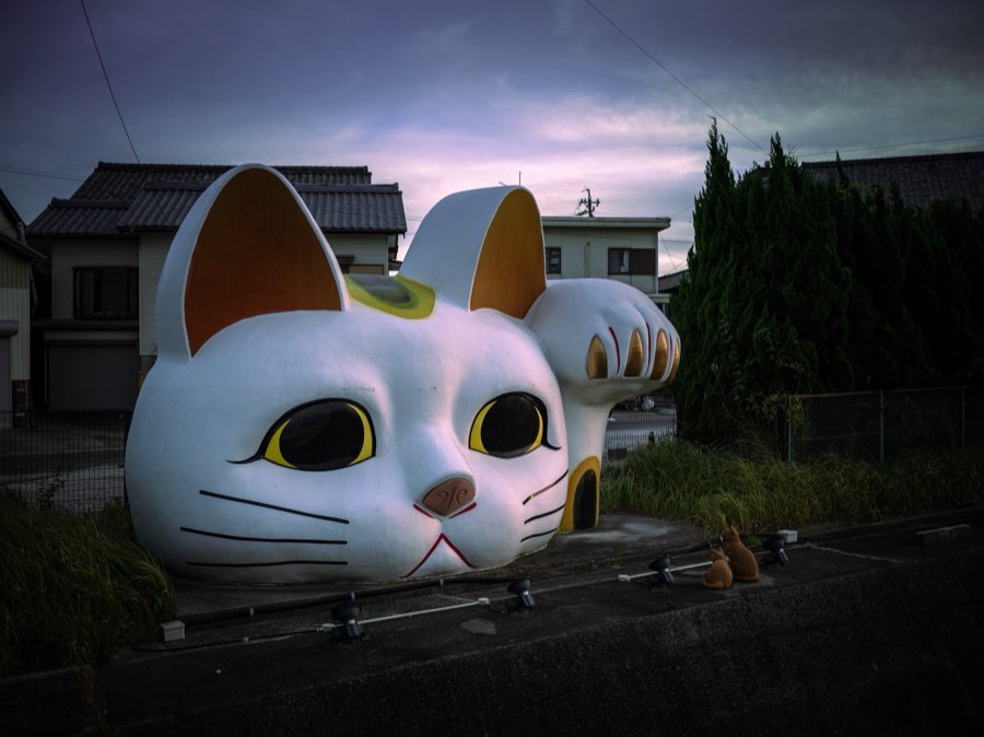 Aichi, Autumn 2019, Japan. Photograph by Jordy Meow, 3/11