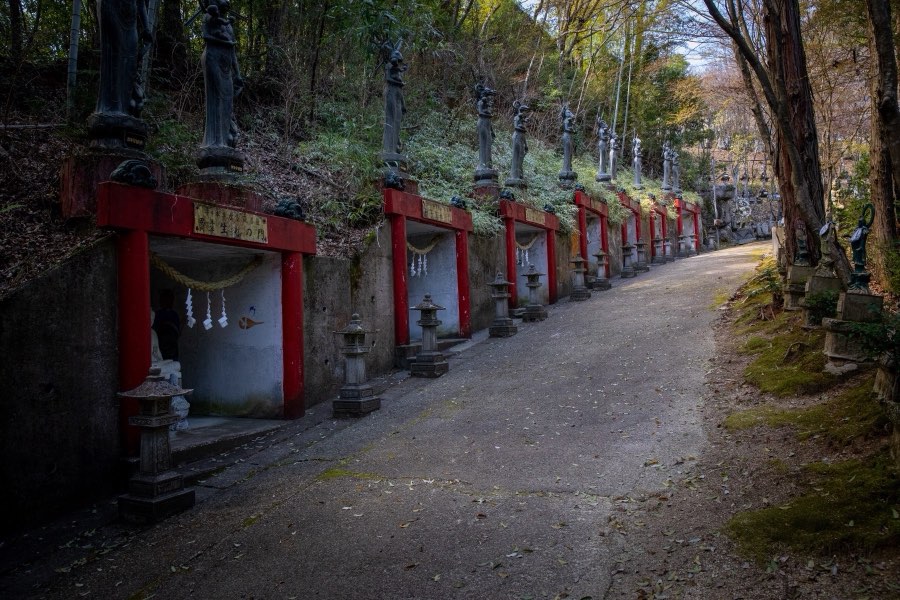 Aichi, Spring 2019, Japan. Photograph by Jordy Meow, 6/11