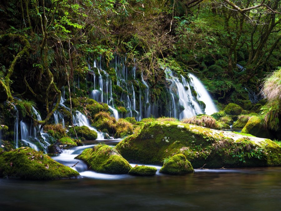 Akita, Autumn 2020, Japan. Photograph by Jordy Meow, 1/9