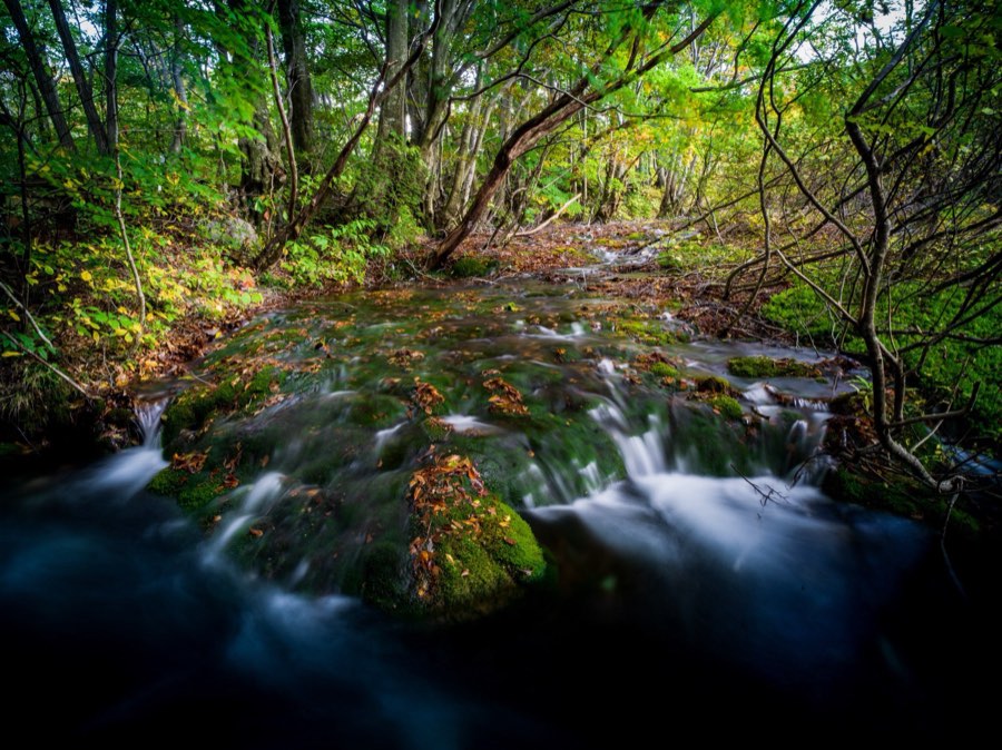 Akita, Autumn 2020, Japan. Photograph by Jordy Meow, 2/9
