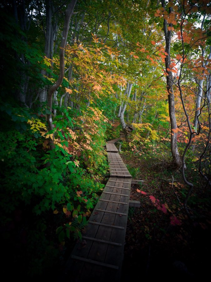 Akita, Autumn 2020, Japan. Photograph by Jordy Meow, 3/9