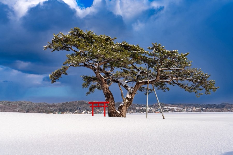 Aomori, Winter 2025, Japan. Photograph by Jordy Meow, 1/15