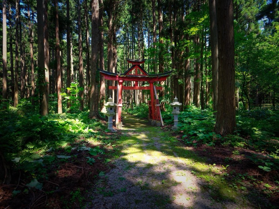 Aomori, Summer 2021, Japan. Photograph by Jordy Meow, 3/15