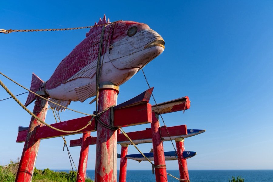 Chiba, Summer 2024, Japan. Photograph by Jordy Meow, 1/13