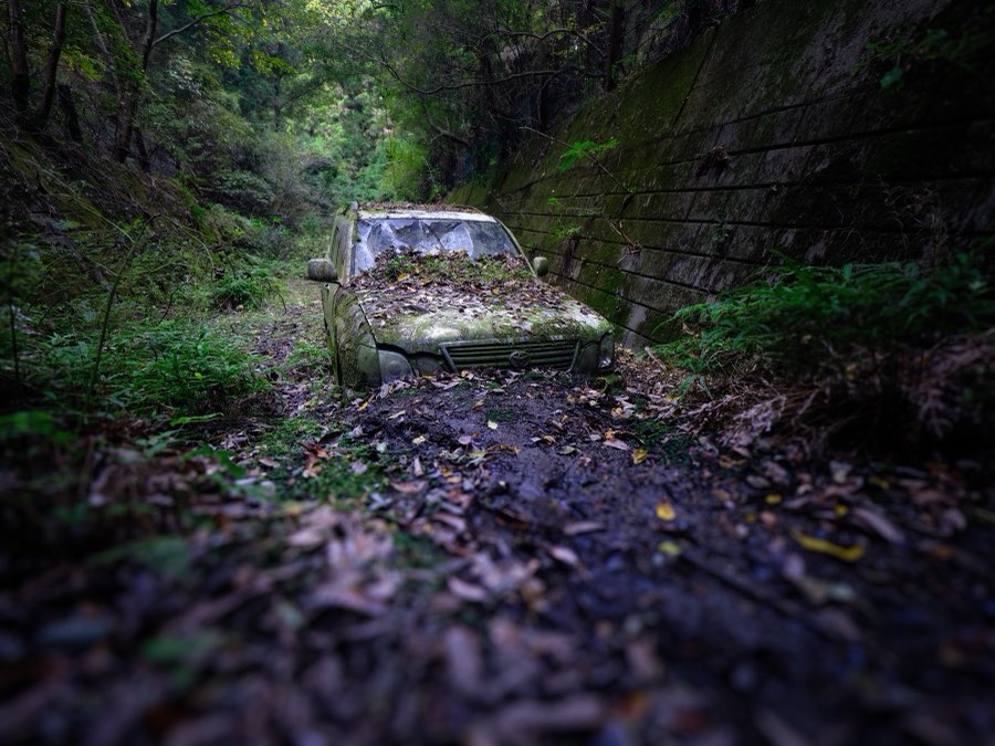 Chiba, Autumn 2022, Japan. Photograph by Jordy Meow, 3/13
