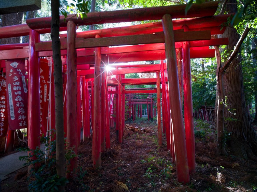 Chiba, Autumn 2020, Japan. Photograph by Jordy Meow, 9/13