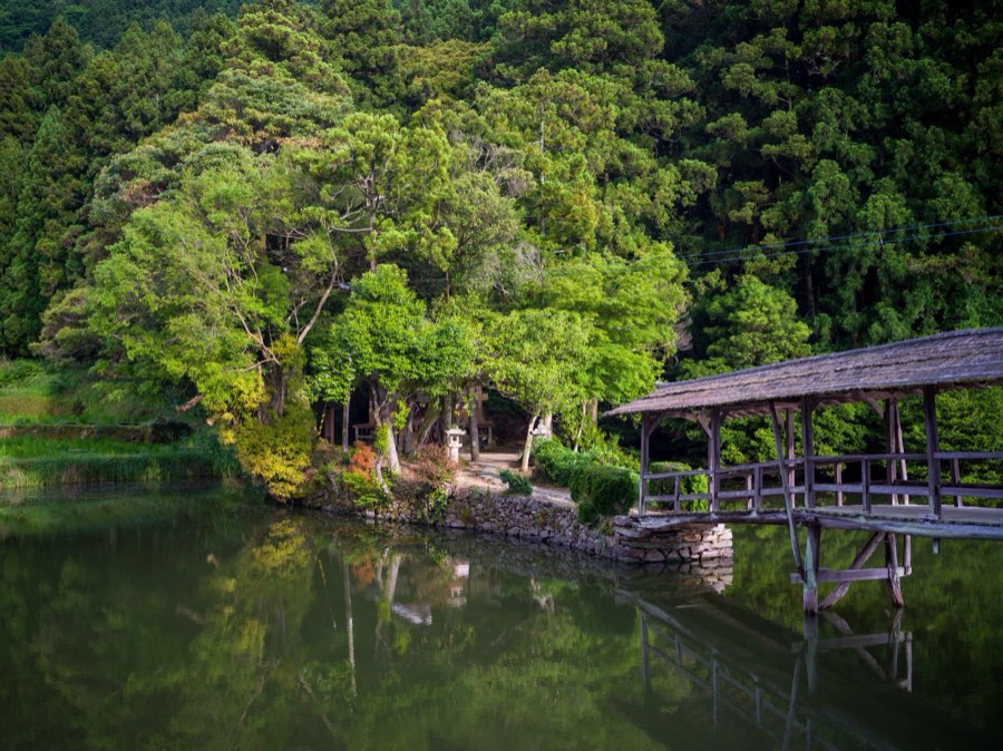 Ehime, Summer 2020, Japan. Photograph by Jordy Meow, 172/229