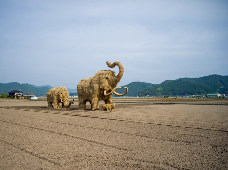 Ehime, Summer 2020, Japan. Photograph by Jordy Meow, 177/229