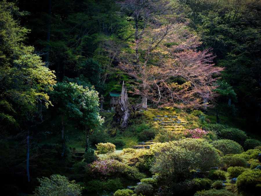 Fukui, Spring 2020, Japan. Photograph by Jordy Meow, 6/13