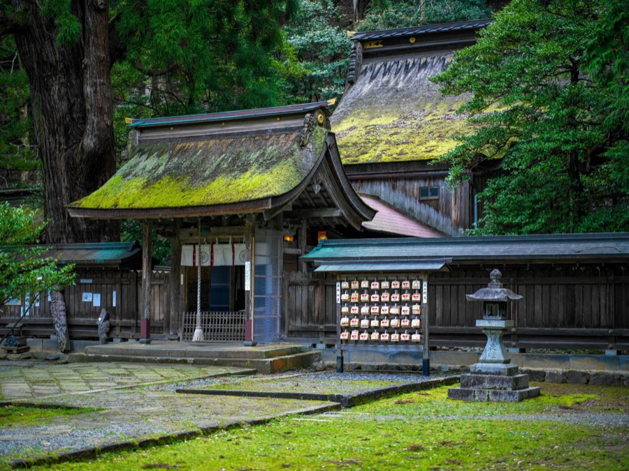 Fukui, Spring 2020, Japan. Photograph by Jordy Meow, 10/13