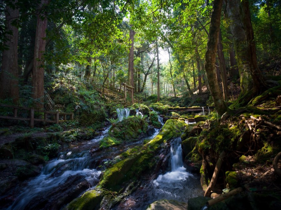 Fukui, Spring 2020, Japan. Photograph by Jordy Meow, 11/13