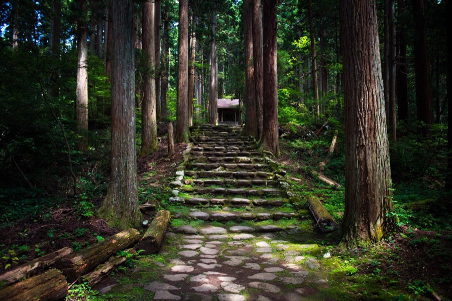 Fukui, Summer 2016, Japan. Photograph by Jordy Meow, 93/229