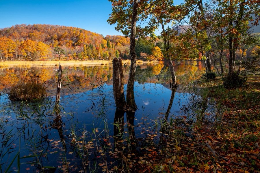 Fukushima, Autumn 2018, Japan. Photograph by Jordy Meow, 4/17