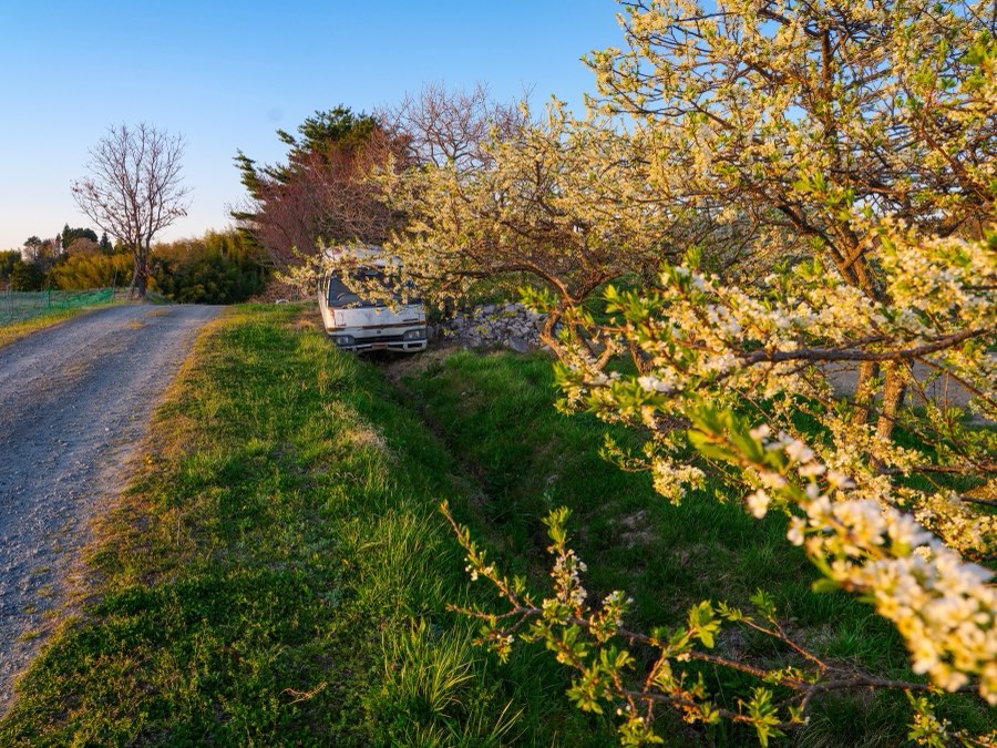 Fukushima, Spring 2023, Japan. Photograph by Jordy Meow, 9/17