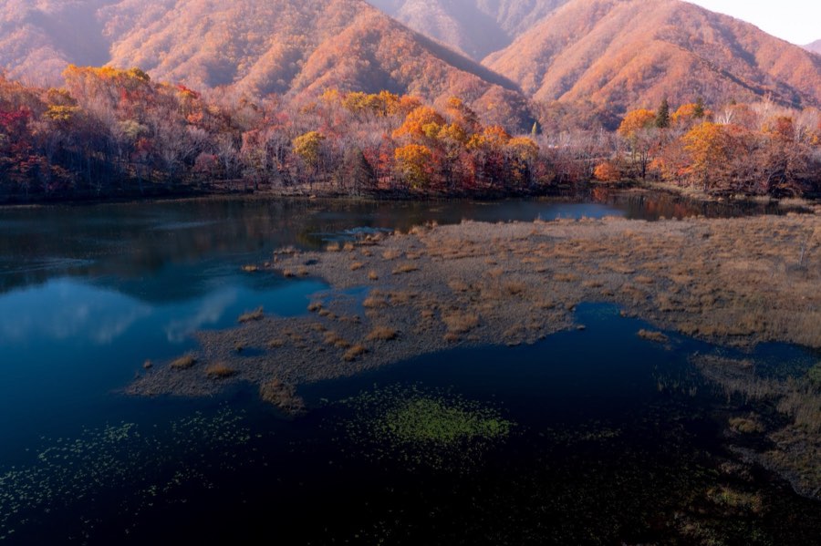 Fukushima, Autumn 2018, Japan. Photograph by Jordy Meow, 12/17