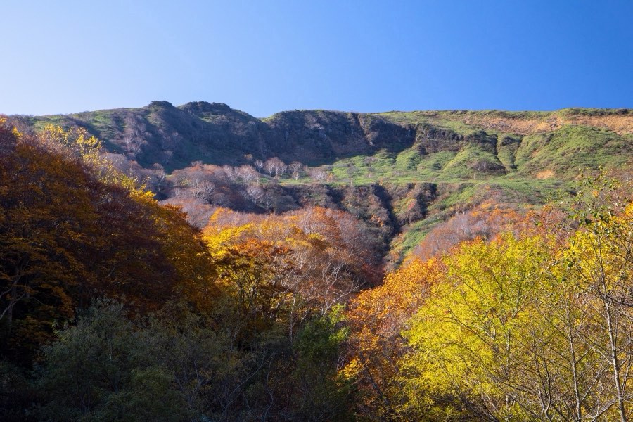 Fukushima, Autumn 2018, Japan. Photograph by Jordy Meow, 14/17
