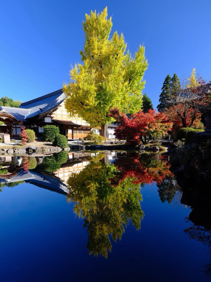 Gifu, Autumn 2022, Japan. Photograph by Jordy Meow, 1/25