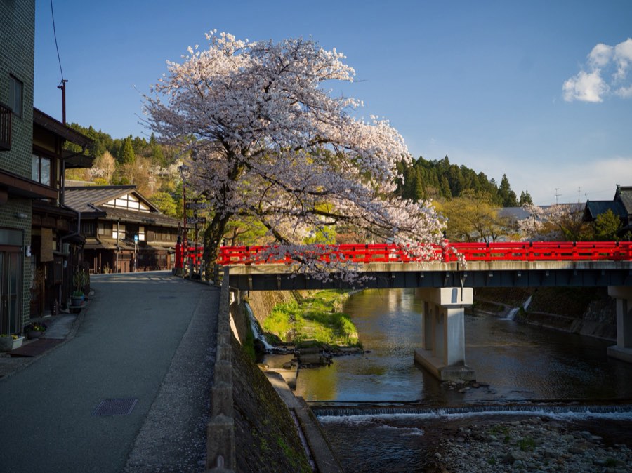 Gifu, Spring 2020, Japan. Photograph by Jordy Meow, 5/25