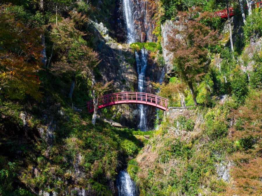 Gifu, Autumn 2019, Japan. Photograph by Jordy Meow, 6/25