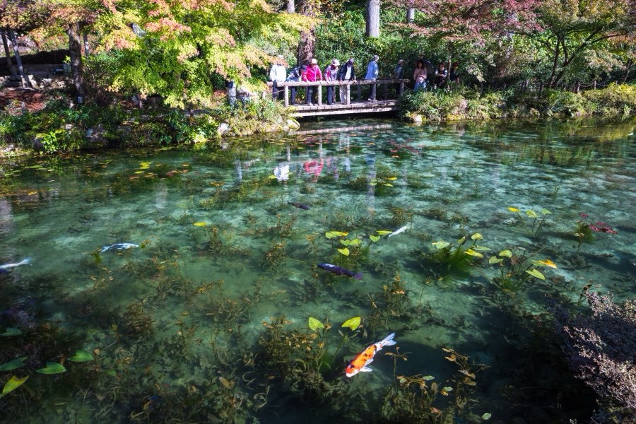 Gifu, Autumn 2017, Japan. Photograph by Jordy Meow, 8/25