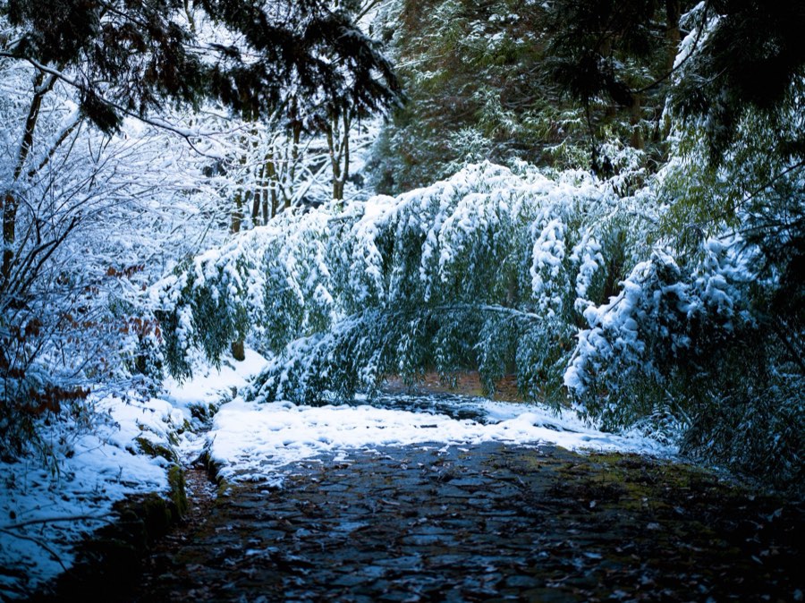 Gifu, Winter 2021, Japan. Photograph by Jordy Meow, 12/25
