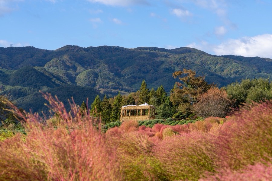 Gunma, Autumn 2023, Japan. Photograph by Jordy Meow, 1/27