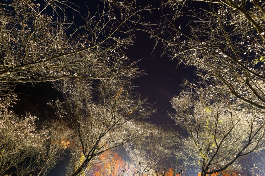 Gunma, Autumn 2013, Japan. Photograph by Jordy Meow, 6/27