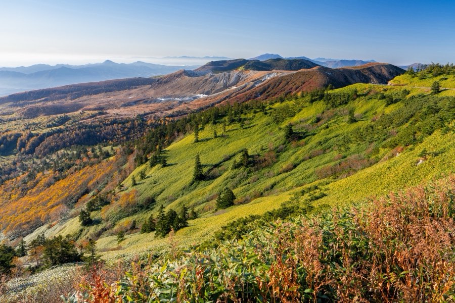 Gunma, Autumn 2023, Japan. Photograph by Jordy Meow, 12/27