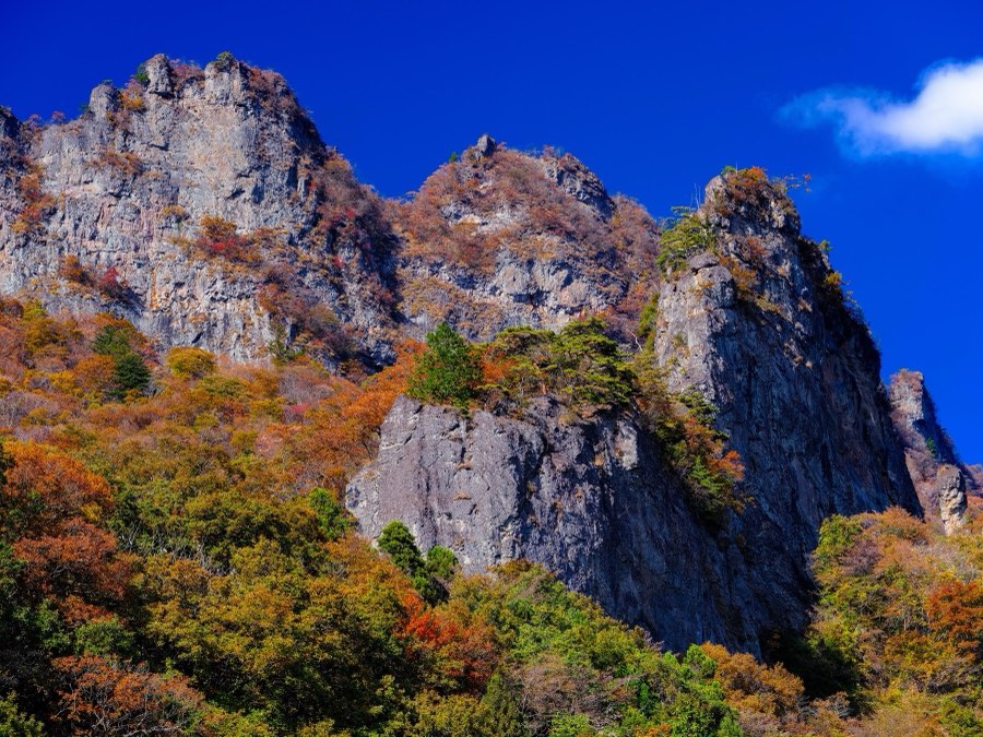 Gunma, Autumn 2021, Japan. Photograph by Jordy Meow, 16/27