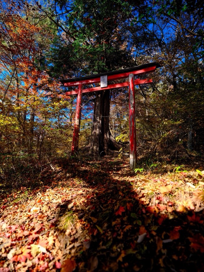 Gunma, Autumn 2021, Japan. Photograph by Jordy Meow, 17/27