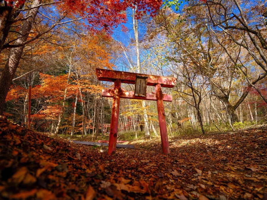 Gunma, Autumn 2021, Japan. Photograph by Jordy Meow, 18/27