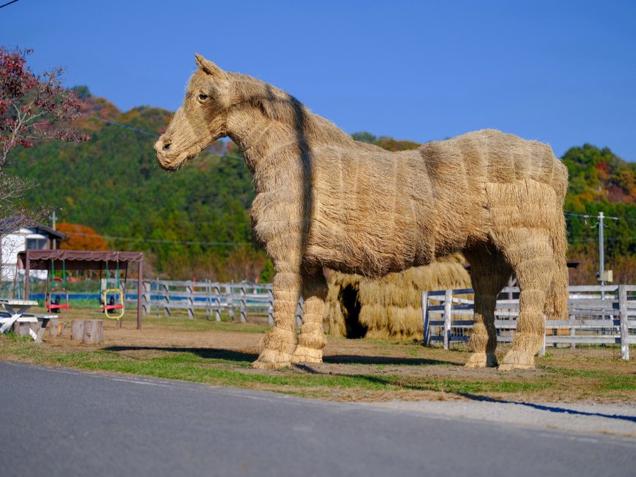 Gunma, Autumn 2021, Japan. Photograph by Jordy Meow, 21/27