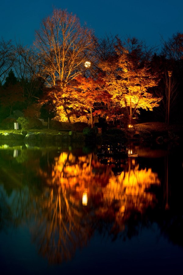 Gunma, Autumn 2013, Japan. Photograph by Jordy Meow, 25/27