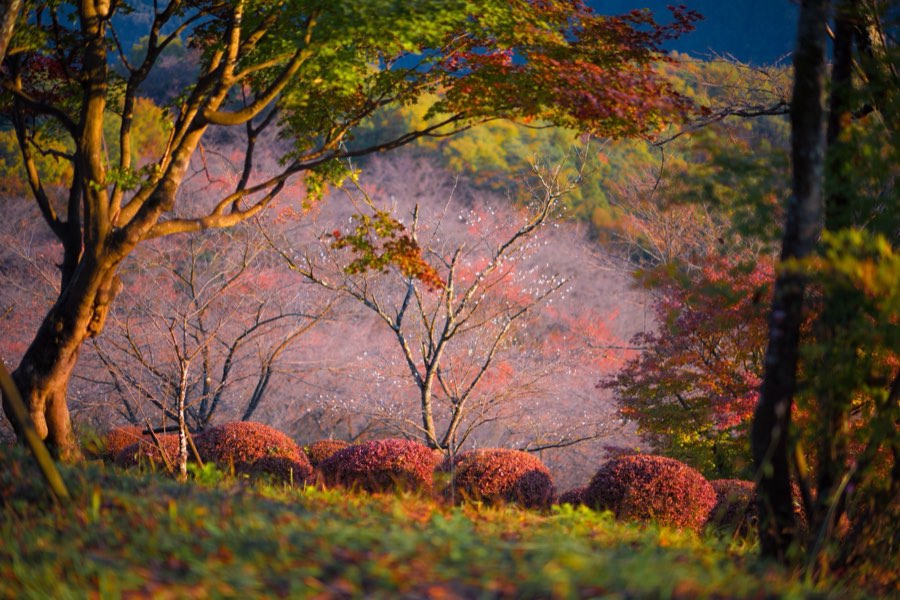 Gunma, Autumn 2013, Japan. Photograph by Jordy Meow, 26/27