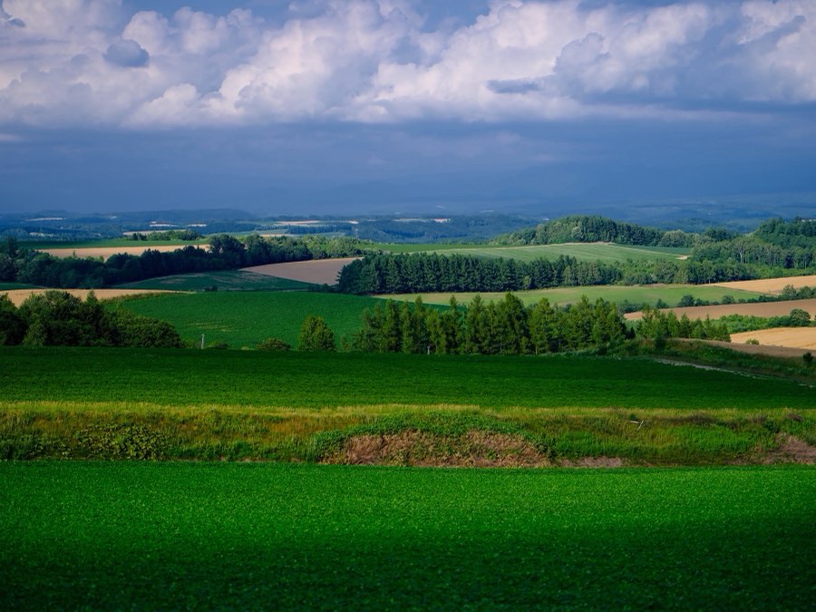 Hokkaido, Summer 2021, Japan. Photograph by Jordy Meow, 7/24