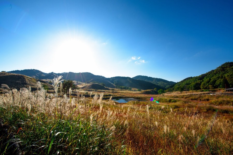 Hyogo, Autumn 2015, Japan. Photograph by Jordy Meow, 13/13