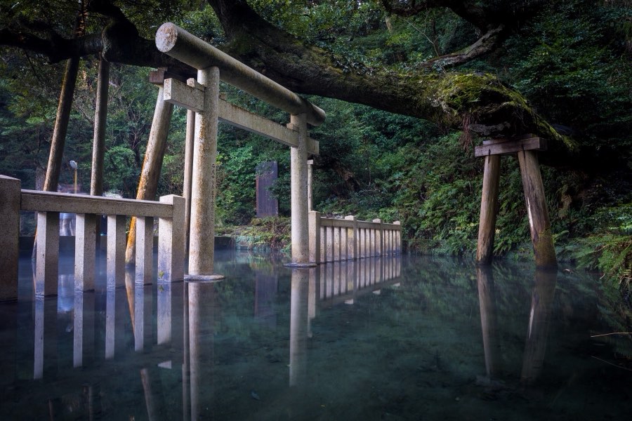 Ibaraki, Winter 2018, Japan. Photograph by Jordy Meow, 2/9