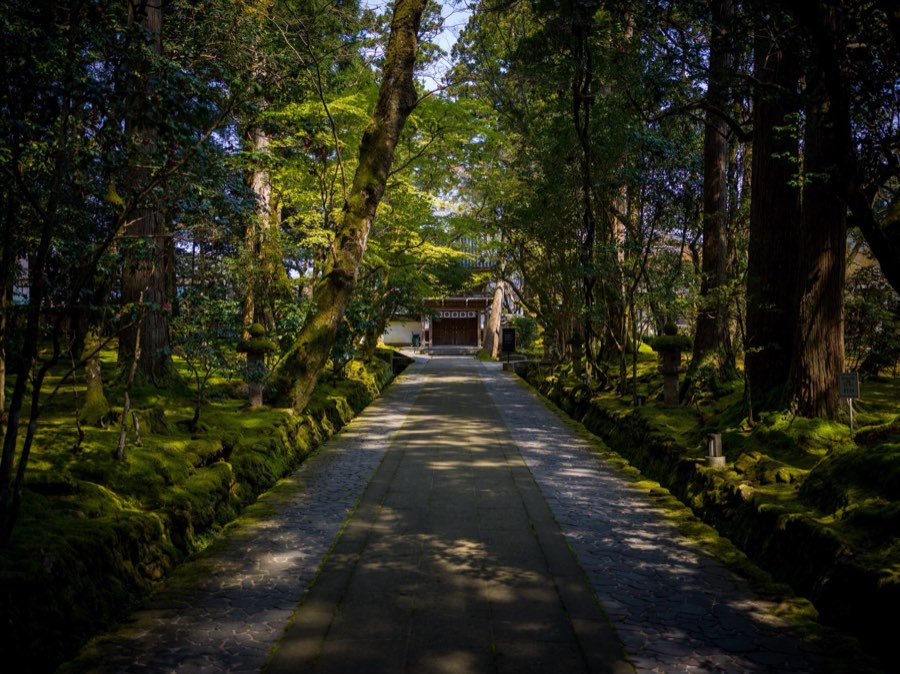 Ishikawa, Spring 2020, Japan. Photograph by Jordy Meow, 11/25
