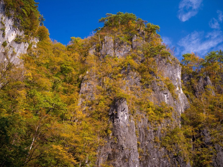 Iwate, Autumn 2020, Japan. Photograph by Jordy Meow, 4/7
