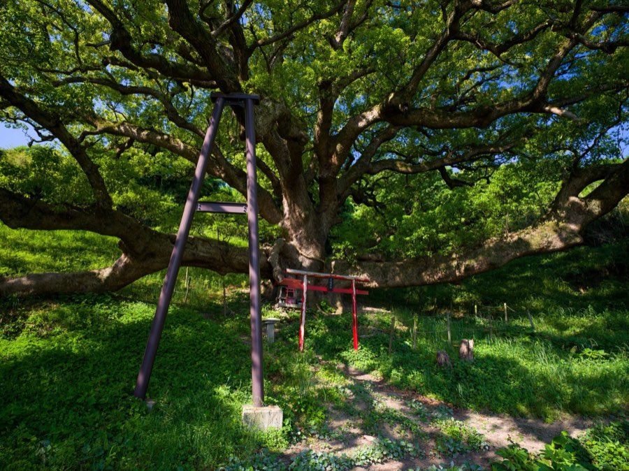 Kagawa, Spring 2020, Japan. Photograph by Jordy Meow, 17/25