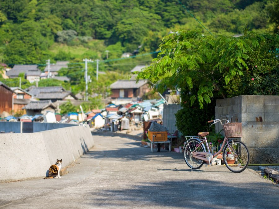 Kagawa, Spring 2020, Japan. Photograph by Jordy Meow, 18/25