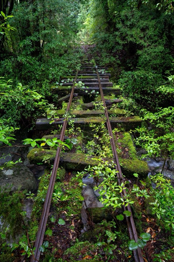 Kagoshima, Spring 2025, Japan. Photograph by Jordy Meow, 3/18