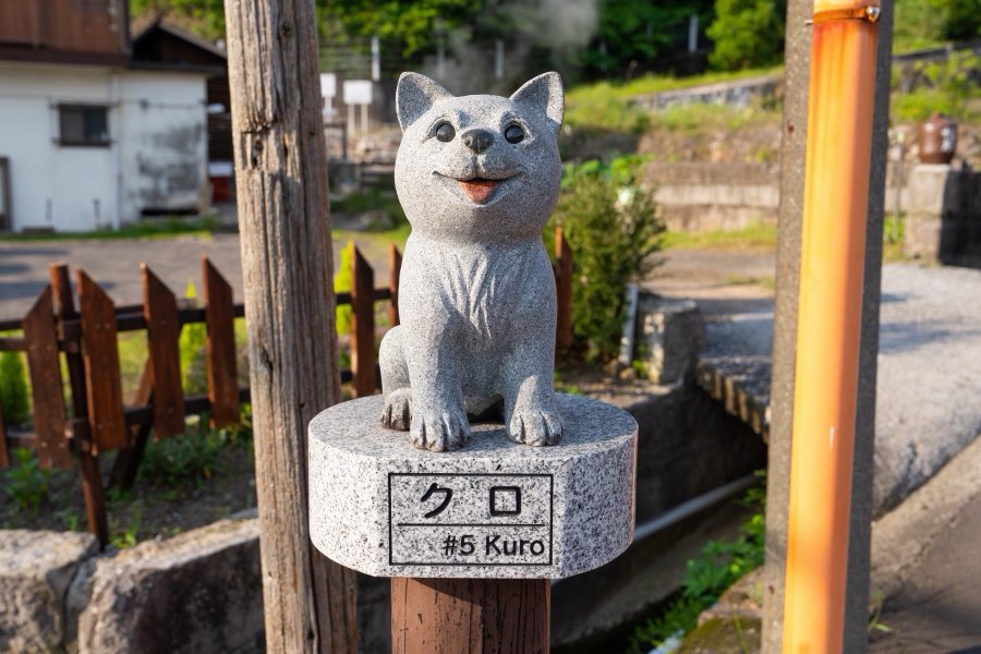 Kagoshima, Summer 2025, Japan. Photograph by Jordy Meow, 5/18